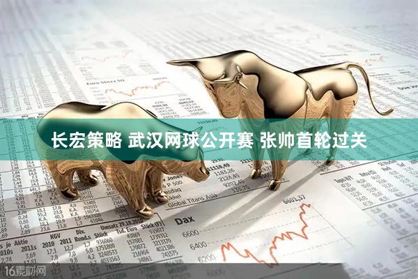 长宏策略 武汉网球公开赛&#32;张帅首轮过关