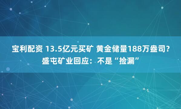宝利配资 13.5亿元买矿 黄金储量188万盎司？盛屯矿业回应：不是“捡漏”
